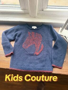 Kids Navy Sweater with Red Zebra Graphic